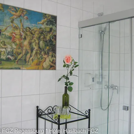 아파트 Komfort Apartmenthaus Haslbach Fgz *